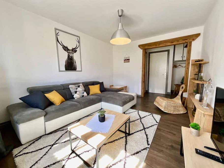 Epicea, Bel Appartement Avec Balcon Au Centre Ville جوراردُميه المظهر الخارجي الصورة