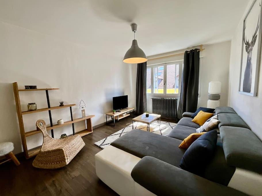 Epicea, Bel Appartement Avec Balcon Au Centre Ville جوراردُميه المظهر الخارجي الصورة